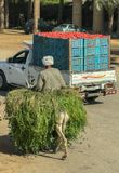 Hauling crops
