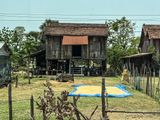 rice drying in front of country home
