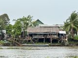 home along the Mekong Delta