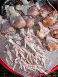 chicken parts at market