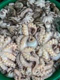 Octapus at market