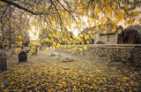 Autumn at the churchyard.jpg