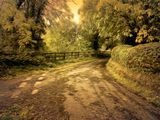 Country lane Partial Infrared.jpg