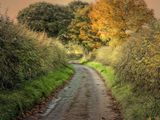The Bend in the Road.jpg