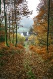 The house in the forest.jpg