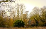 The Church in the Woods..jpg