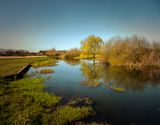The River Bure.jpg
