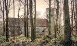 Church in the Forest.jpg