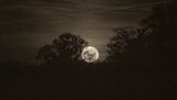 moon rising.jpg