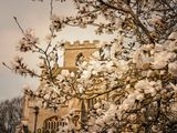 The Church in Spring.jpg