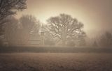 The Church in the mist.jpg