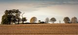 Autumn across the fields.jpg