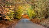 Autumn Drive..jpg