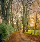 Autumn Walk.jpg
