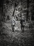 A Walk in the Woods.jpg