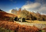 Lake district.jpg