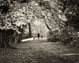 Walking the Dog (Infrared).jpg