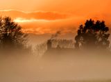 Winter Mist..jpg