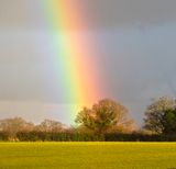 At the end of the Rainbow.jpg