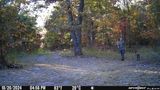 PICT0511.JPG