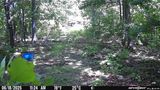 PICT0542.JPG