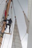 20240610-DSC_5931.jpg