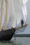 20240610-DSC_6221.jpg