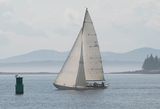 20240801-_Z6K9054.jpg