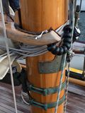 20240930-DSC_6666.jpg