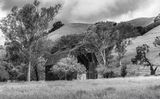 Old Barn.jpg