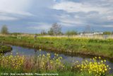 Spring Birding