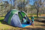 Camping in Dryandra