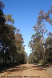 Thomson Rd