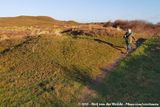 Rens in Texels Dunes