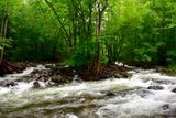 The start of Little Pigeon River, Smoky Mountains