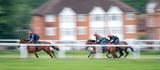 The Gallop, Newmarket, England