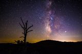 Shenandoah Park M.W.jpg