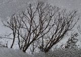 Road-Water-Reflections---3