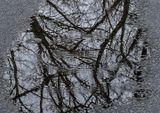 Road-Water-Reflections---5