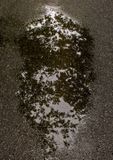 Road-Water-Reflections
