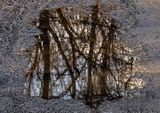 Road-Water-Reflections- 6