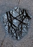 Road-Water-Reflections---8