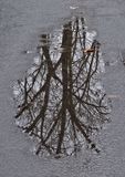 Road-Water-Reflections---2
