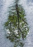 Roadwater-Reflections---19