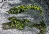 Roadwater Reflections - 22