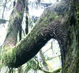 IMG_2748.jpg