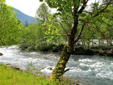 IMG_4375.jpg