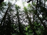 IMG_4713.jpg