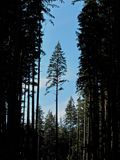 IMG_4207.jpg