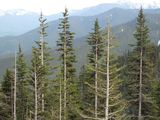 IMG_4477.jpg